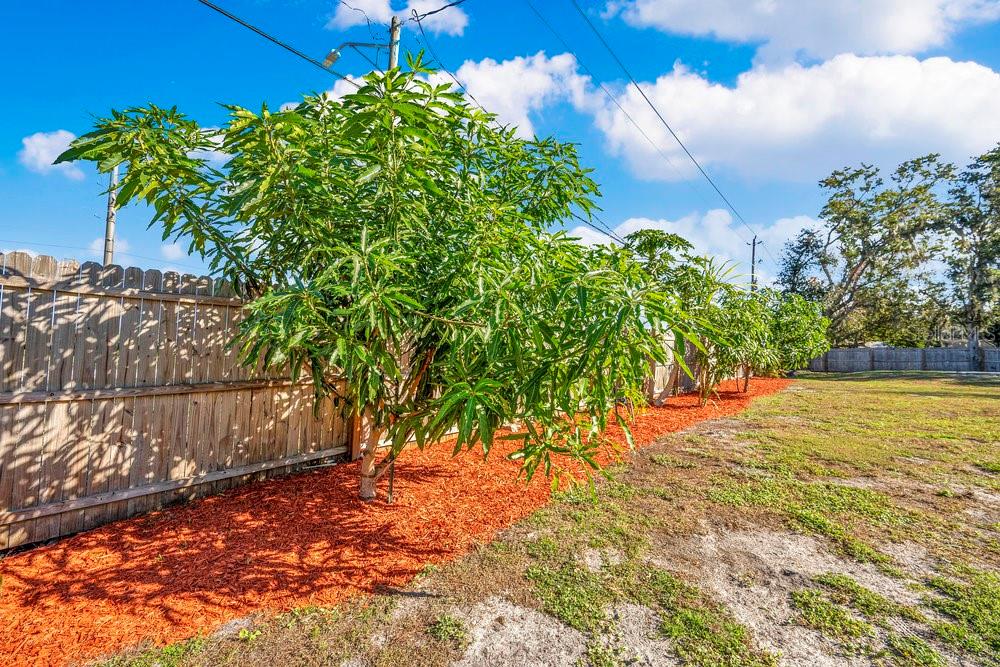 COUNTRY VILLAGE - Residential