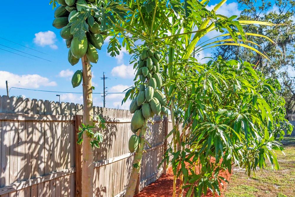 COUNTRY VILLAGE - Residential