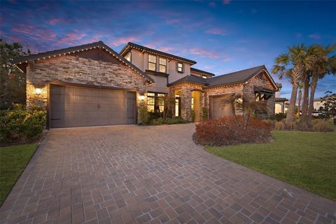 3839 SAN VITO DRIVE WESLEY CHAPEL FL 33543