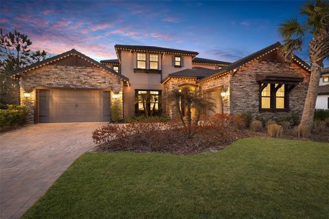 3839 SAN VITO DRIVE WESLEY CHAPEL FL 33543