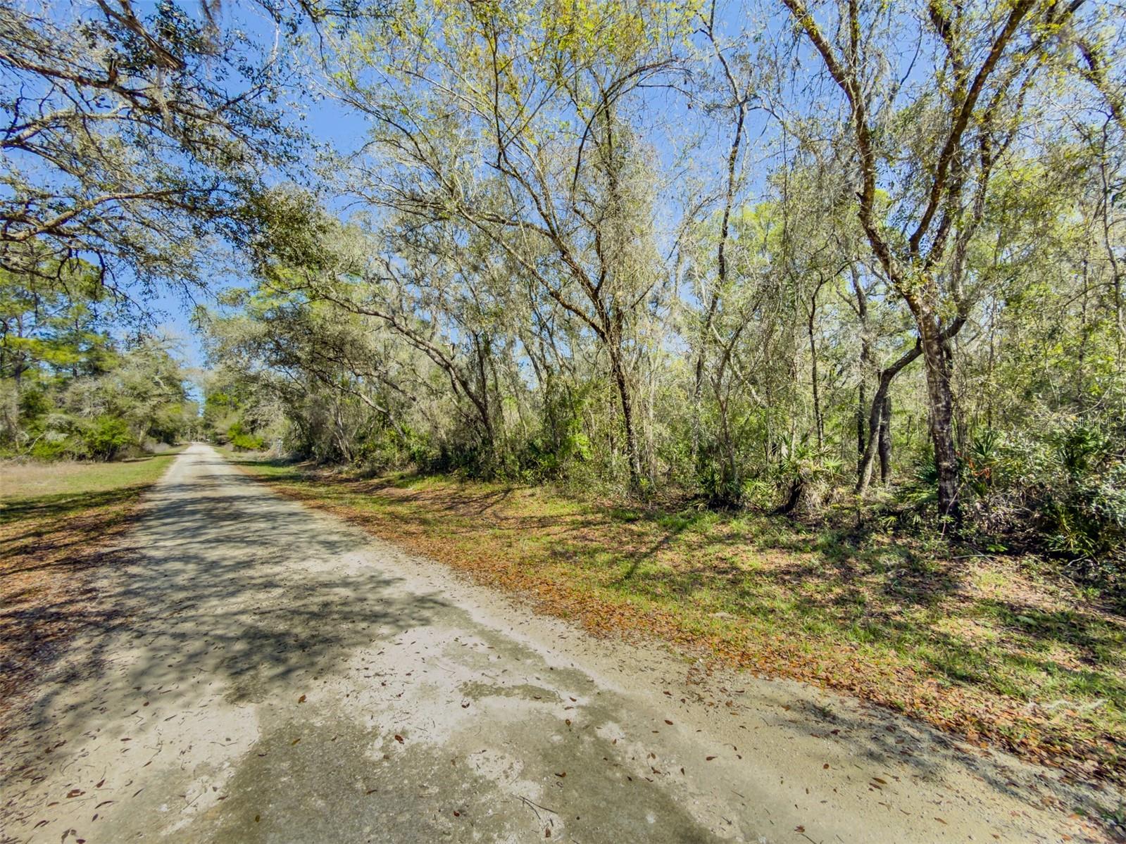 RIDGE MANOR ESTATE - Land