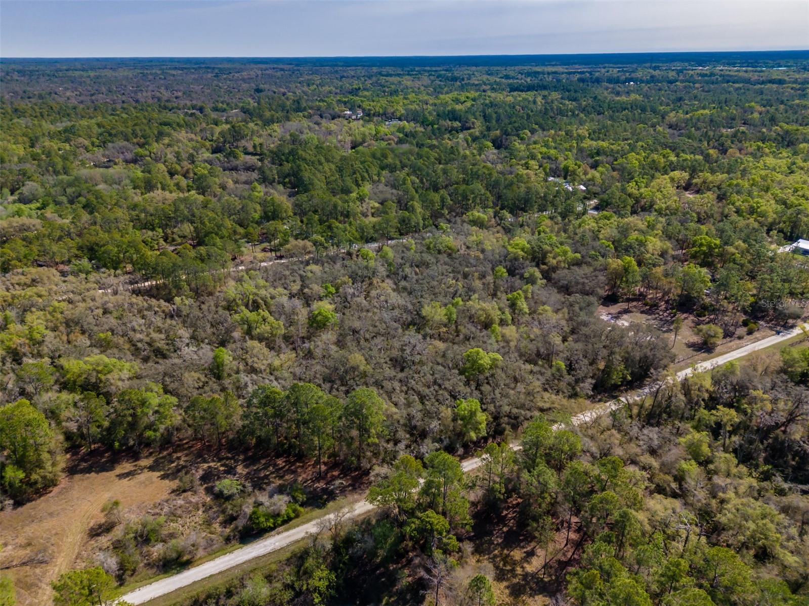 RIDGE MANOR ESTATE - Land