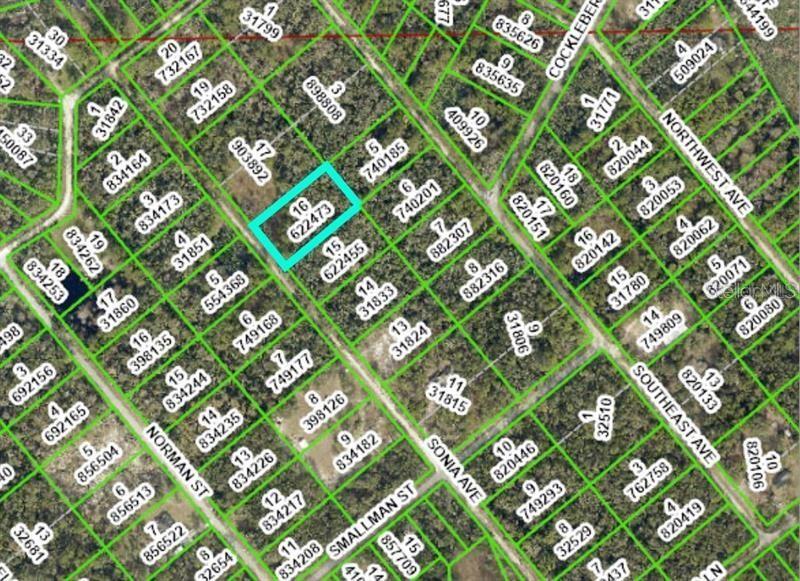 RIDGE MANOR ESTATE - Land