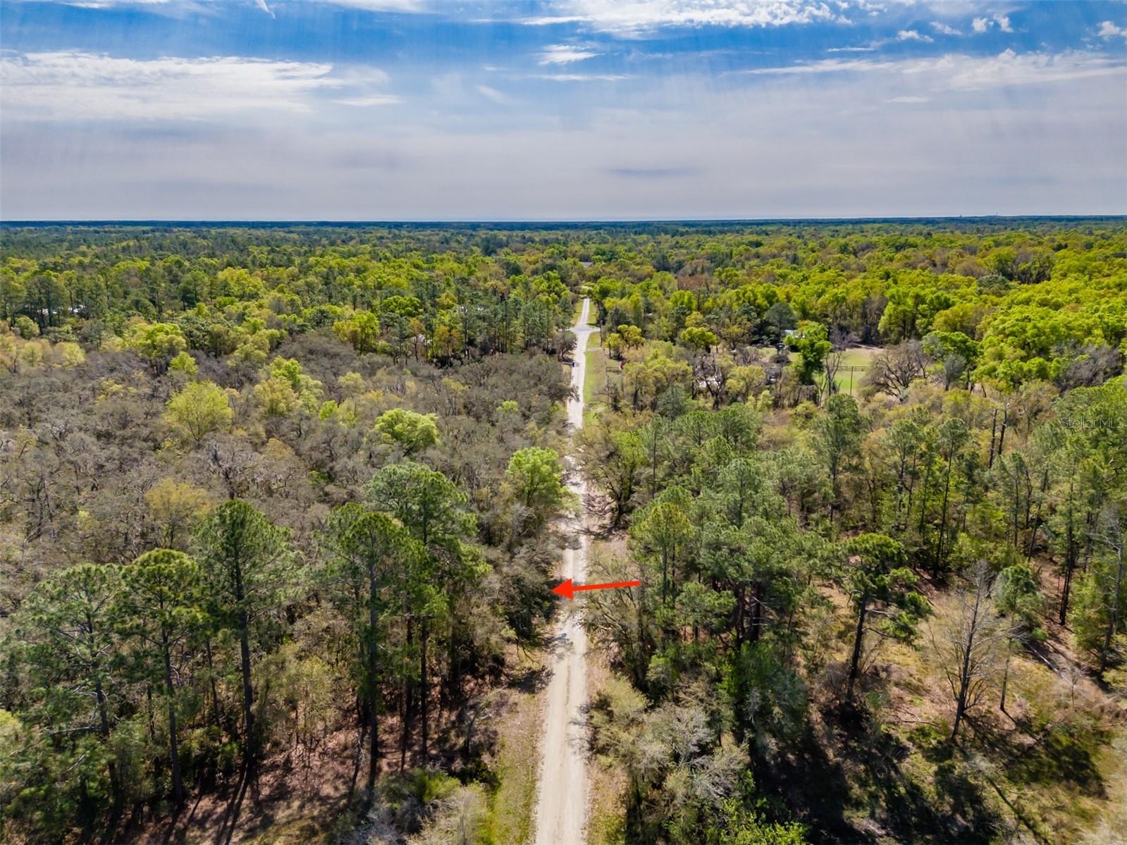 RIDGE MANOR ESTATE - Land