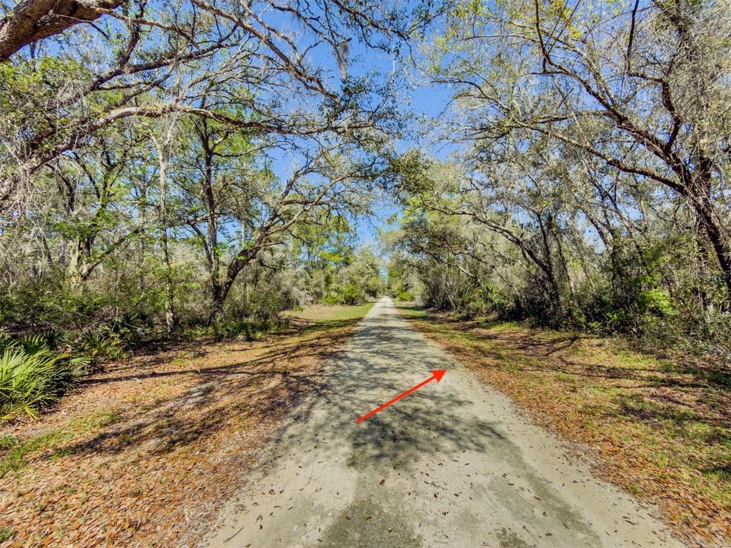 Photo of 7262 Sonia Avenue, Webster, FL 33597 (MLS # TB8487932)