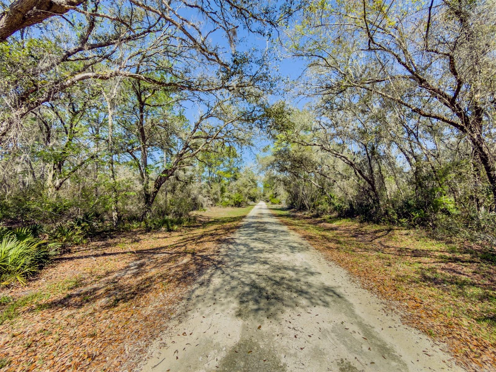 RIDGE MANOR ESTATE - Land