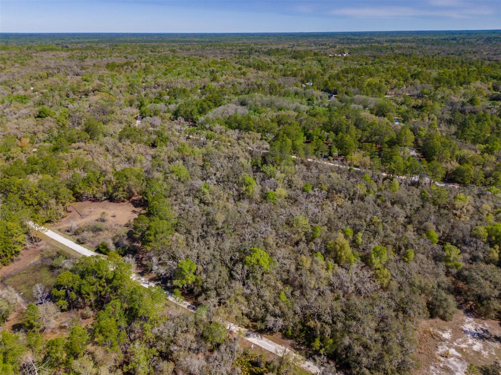 RIDGE MANOR ESTATE - Land