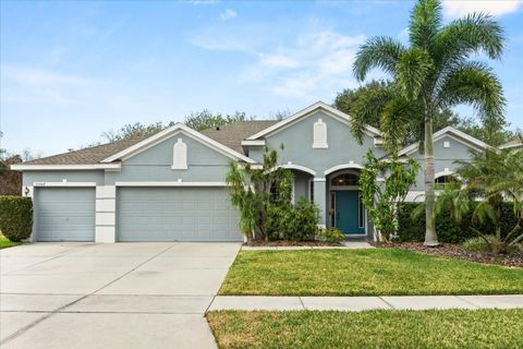 Photo of 10368 Mallard Landings Way, Orlando, FL 32832 (MLS # O6383309)