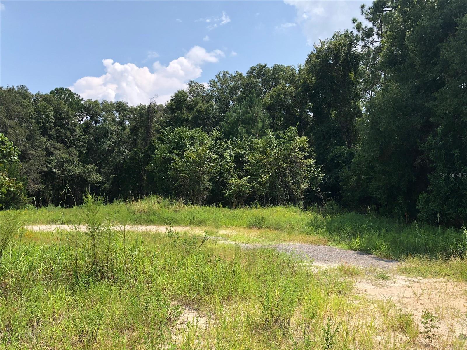 20412 US HWY 441