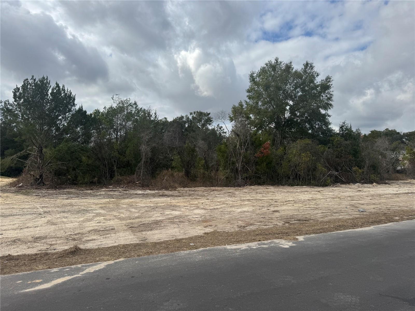 20412 US HWY 441