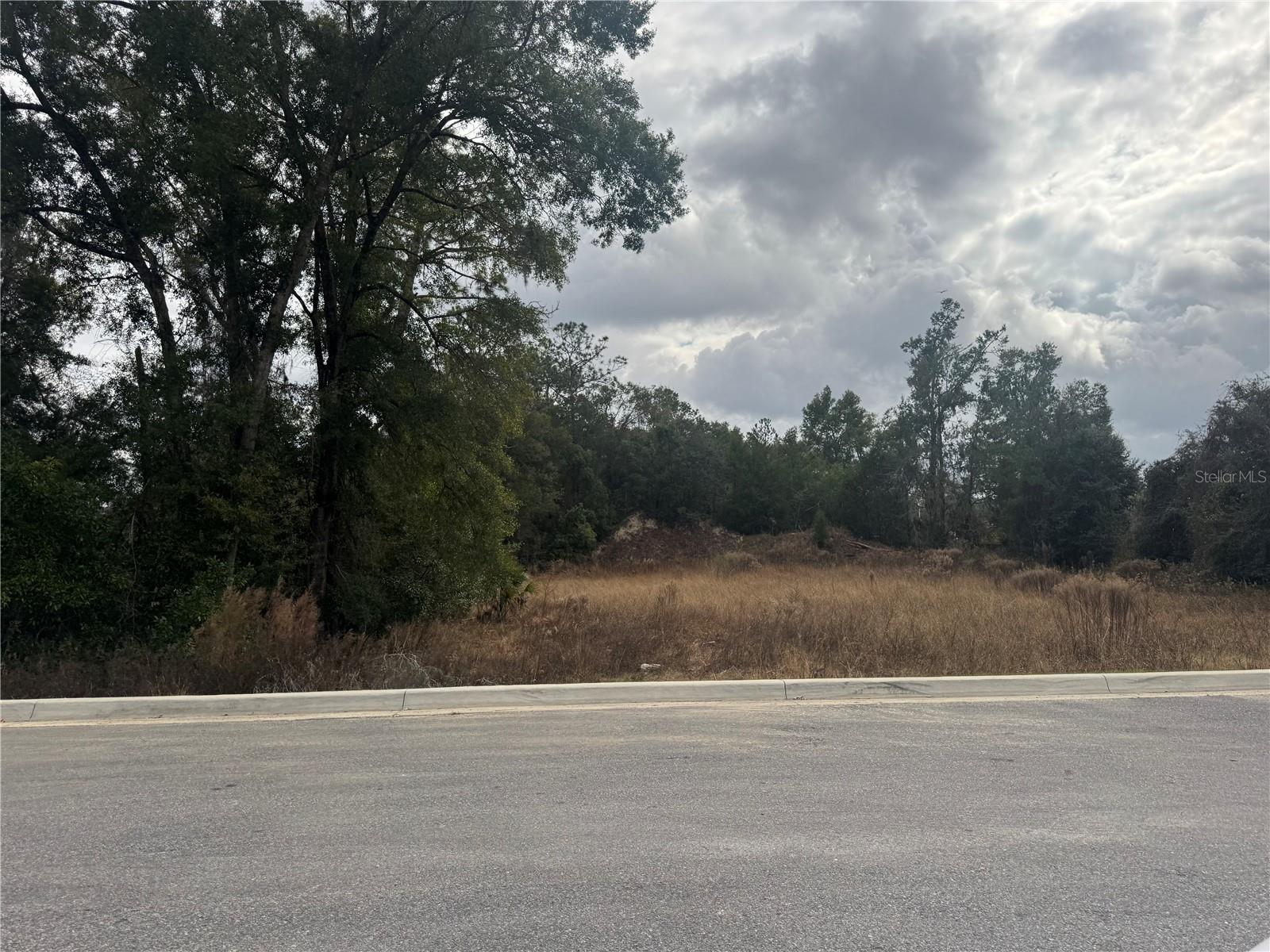 20412 US HWY 441