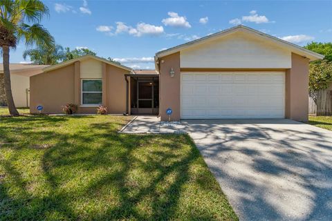 14827 OAK VINE DRIVE LUTZ FL 33559