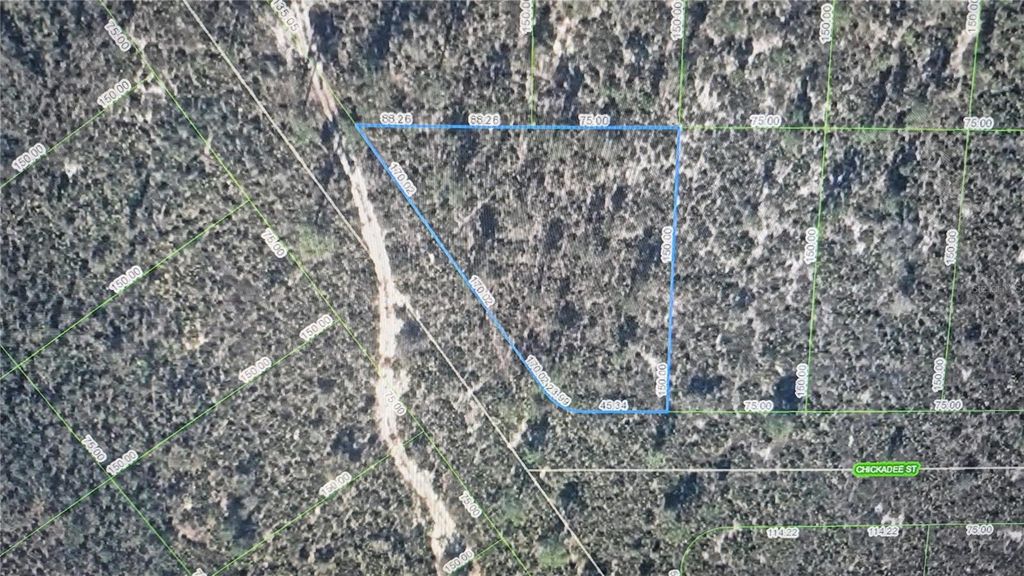 Photo of 1400 Chickadee Street, Lake Placid, FL 33852 (MLS # O6354886)