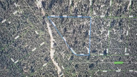 1400 CHICKADEE STREET LAKE PLACID FL 33852