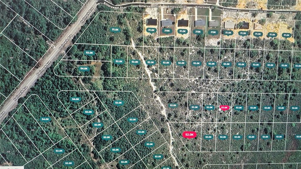 Photo of 1400 Chickadee Street, Lake Placid, FL 33852 (MLS # O6354886)