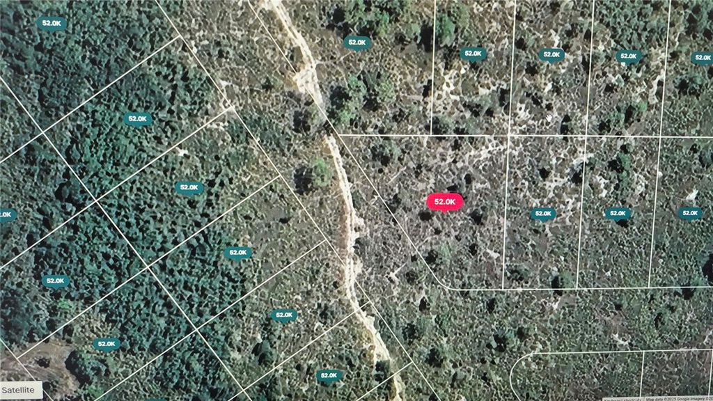 Photo of 1400 Chickadee Street, Lake Placid, FL 33852 (MLS # O6354886)