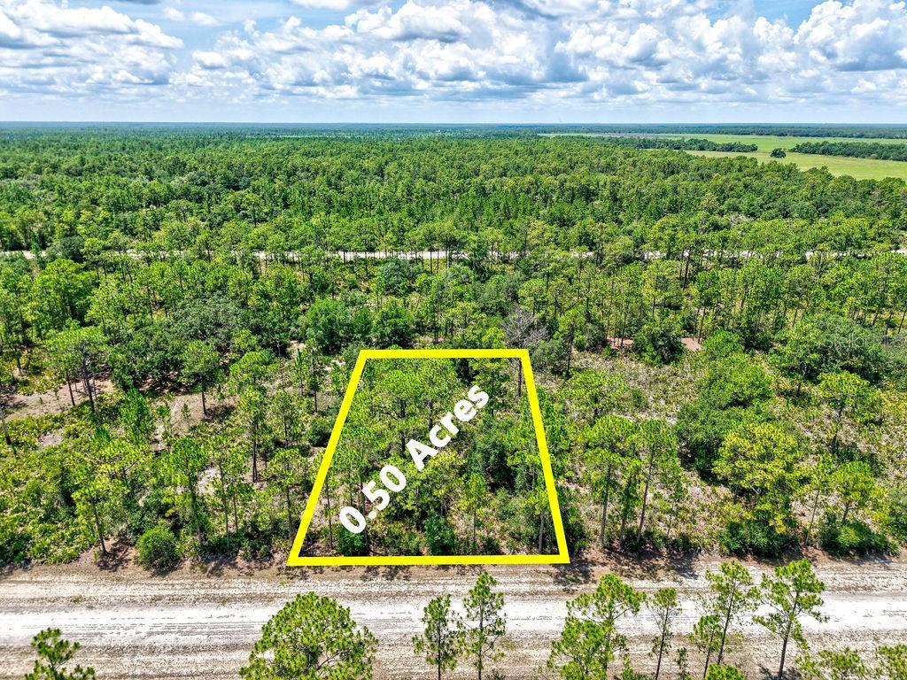 Welcome to 1109 Gaillardia Drive — a beautiful half-acre residential lot tucked inside the quiet, gated community of Indian Lake Estates, one of Central Florida’s best-kept secrets for outdoor living and relaxed country charm. This buildable lot sits on a paved road in a peaceful section of the neighborhood, surrounded by nature and ready for your dream home, vacation getaway, or investment build. Indian Lake Estates is a rare find — offering lake access, golf, and resort-style amenities with low HOA fees and no CDD. Residents enjoy exclusive access to Lake Weohyakapka (Lake Walk-In-Water), known for its world-class bass fishing, boating, and sunsets. You’ll also love the private marina, boat ramp, fishing pier, and picnic areas for lakeside relaxation. Whether you're planning a full-time move or looking to invest in peaceful, spacious land with fantastic amenities, this is a property you don't want to miss. Take a drive out and explore all that Indian Lake Estates has to offer!