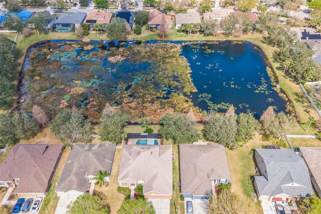 Photo of 11713 Summer Springs Drive, Riverview, FL 33579 (MLS # TB8413729)