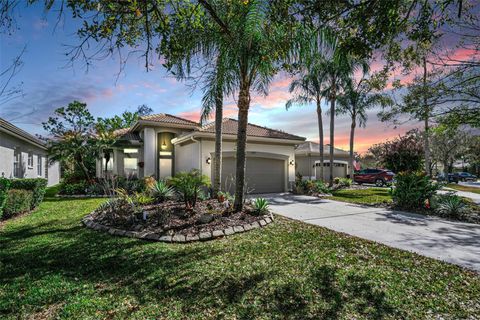 1527 WOODSTREAM DRIVE OLDSMAR FL 34677