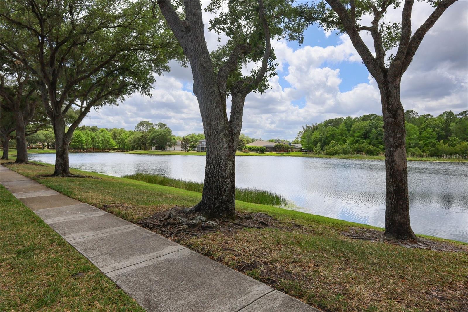 UNIVERSITY ESTATES - Residential