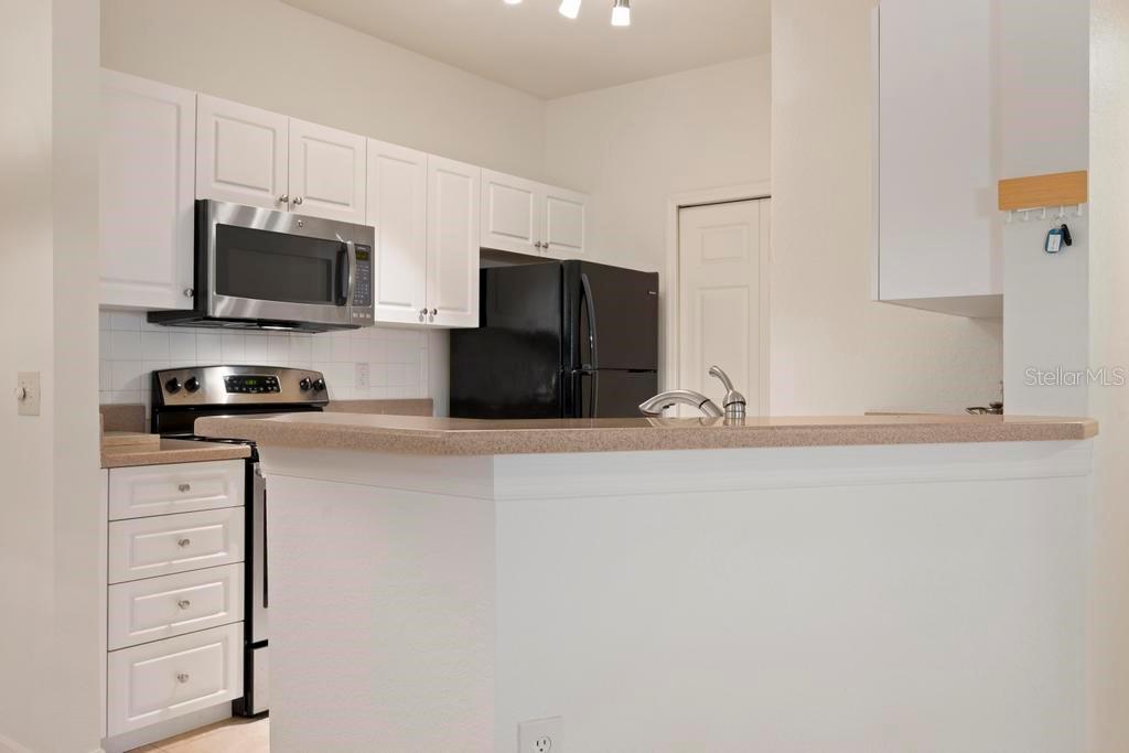 SERENADE ON PALMER RANCH - Residential