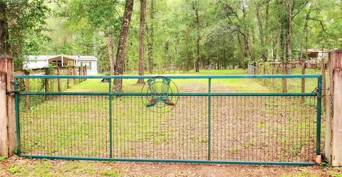 Tiny photo for 9986 S Forestline Avenue, Inverness, FL 34452 (MLS # O6405223)