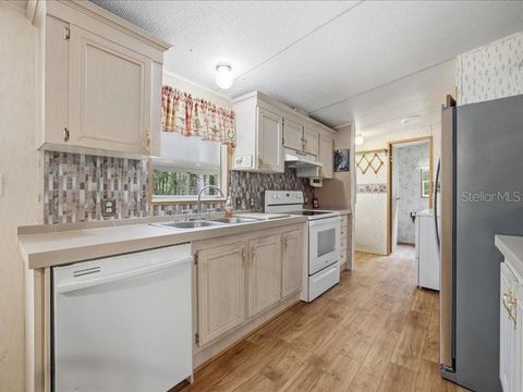 Tiny photo for 9986 S Forestline Avenue, Inverness, FL 34452 (MLS # O6405223)