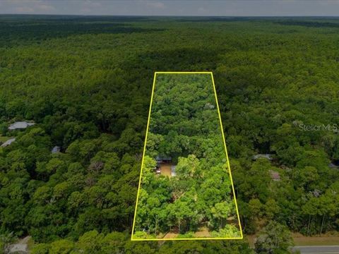 Tiny photo for 9986 S Forestline Avenue, Inverness, FL 34452 (MLS # O6405223)