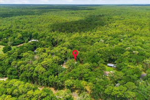 Tiny photo for 9986 S Forestline Avenue, Inverness, FL 34452 (MLS # O6405223)