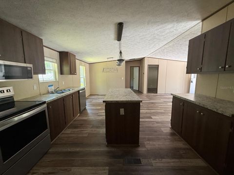 56048 BLUE CREEK ROAD ASTOR FL 32102