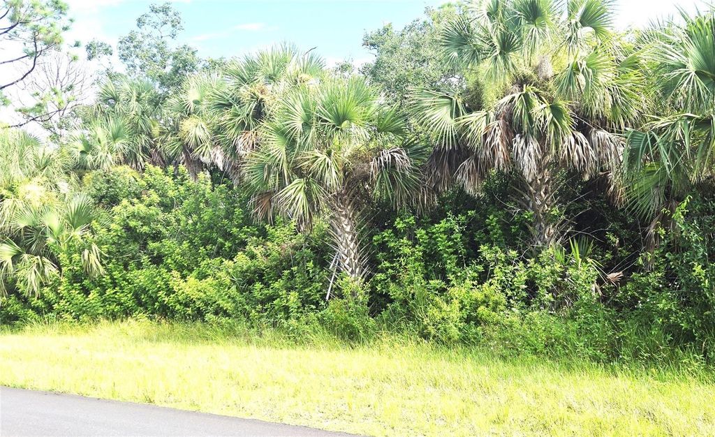 Photo of 6160 Pennell Street, Englewood, FL 34224 (MLS # D6143244)