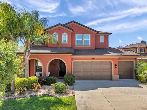 4043 EMPOLI COURT WESLEY CHAPEL FL 33543