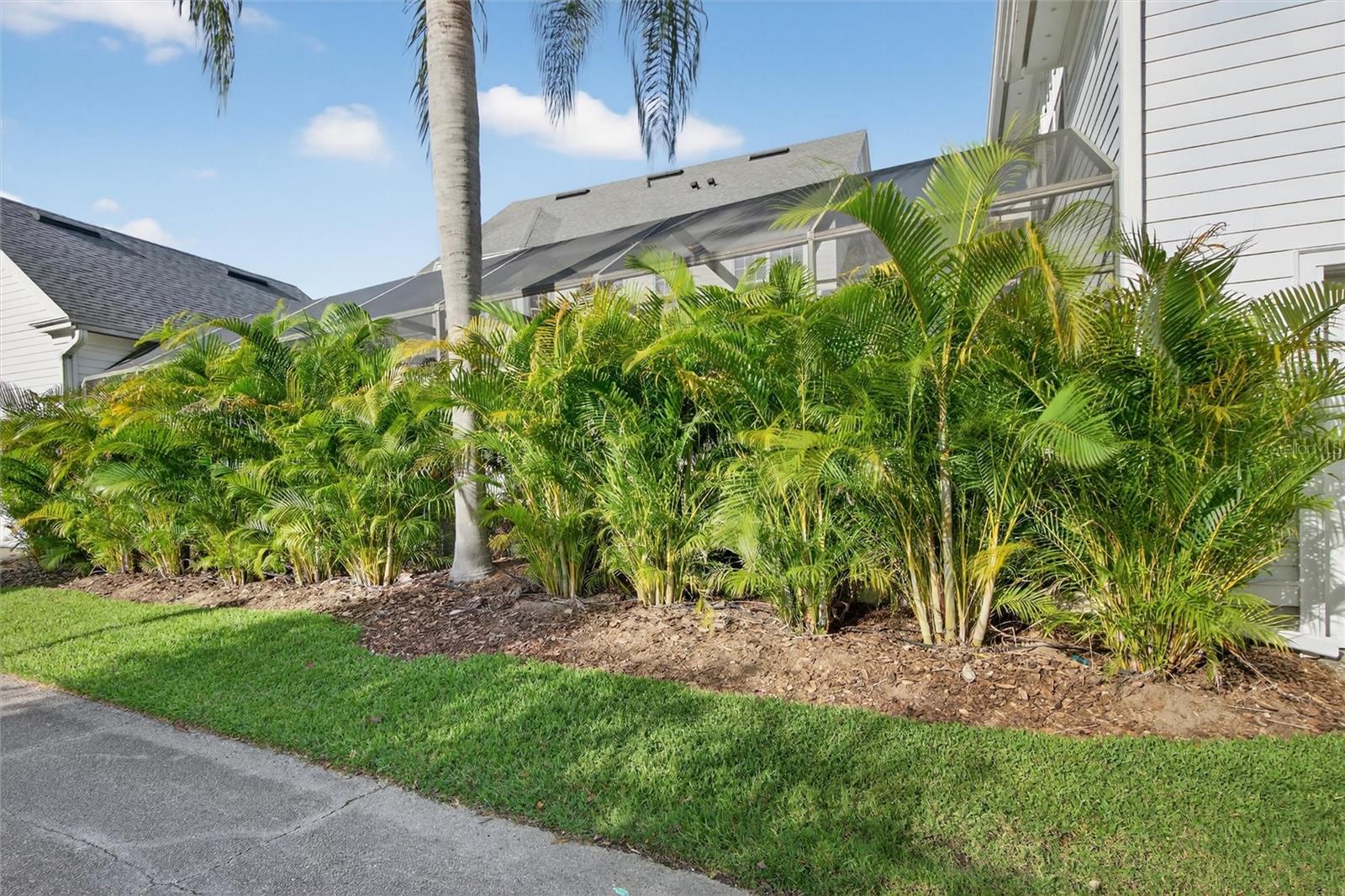 CELEBRATION VILLAGE UNIT 2 - Residential