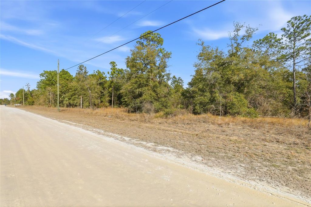 Photo of Chimney Swift Road, Weeki Wachee, FL 34614 (MLS # W7882961)