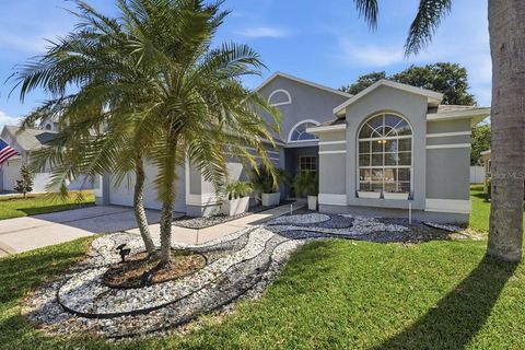 Photo of 4030 Watercove Drive, Riverview, FL 33578 (MLS # O6402280)