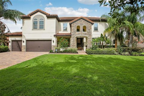 19711 WELLINGTON MANOR BOULEVARD LUTZ FL 33549