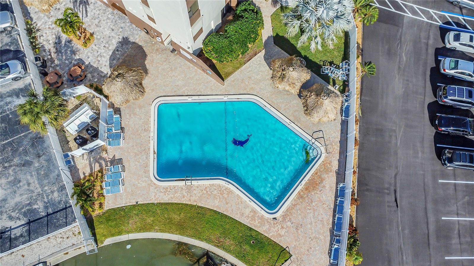 DOLPHIN COVE CLEARWATER - Residential