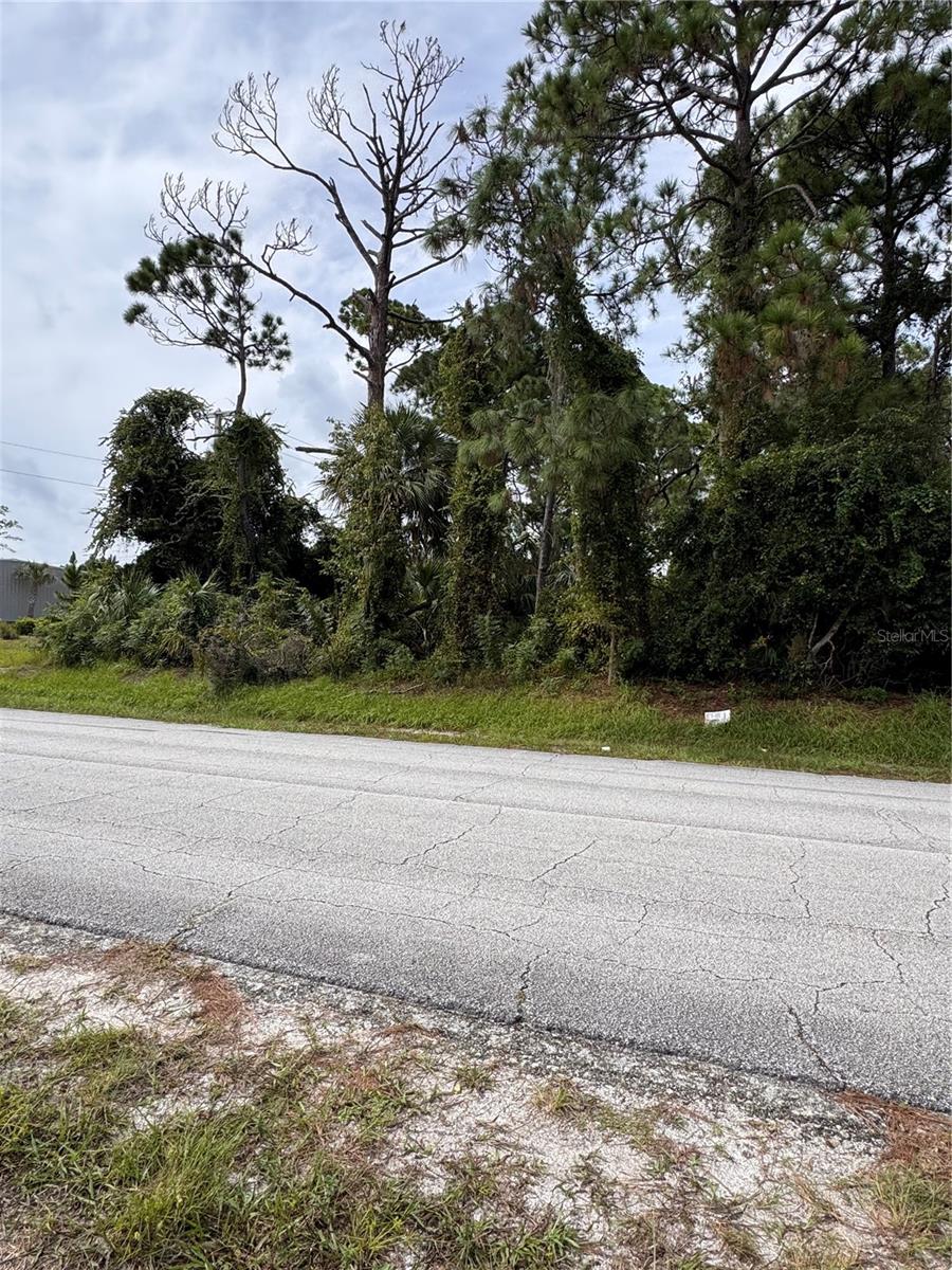 Photo of 2330 Hibiscus Drive, Edgewater, FL 32141 (MLS # NS1089240)