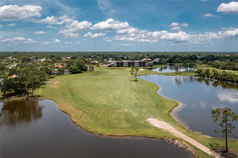 A home in PUNTA GORDA