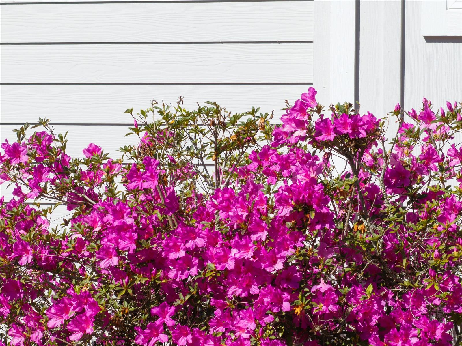 EMERALD COVE - Residential