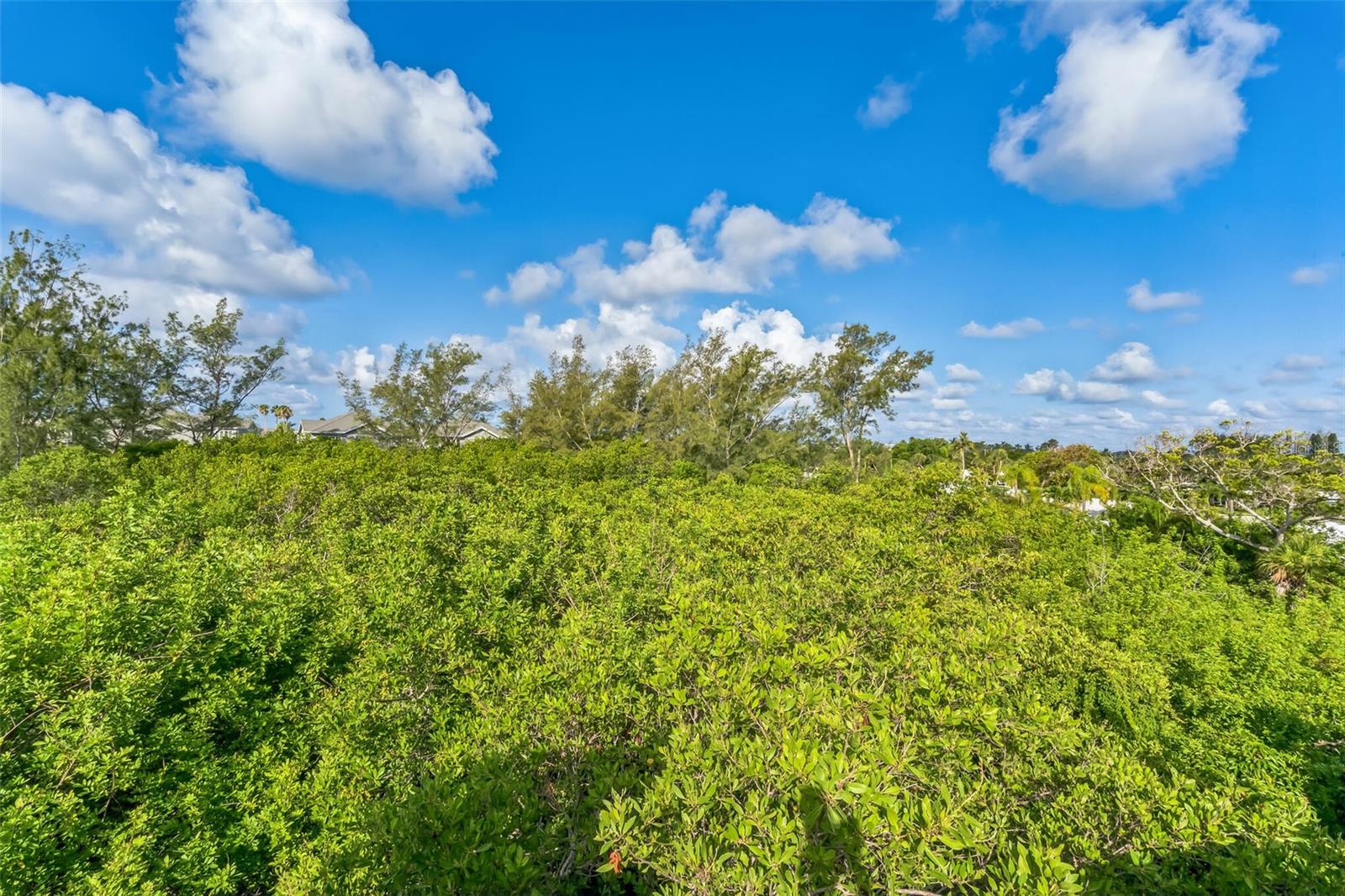 CEDARS EAST SEC 1 - Residential