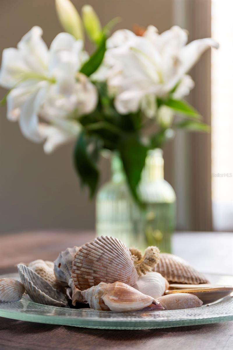 CEDARS EAST SEC 1 - Residential