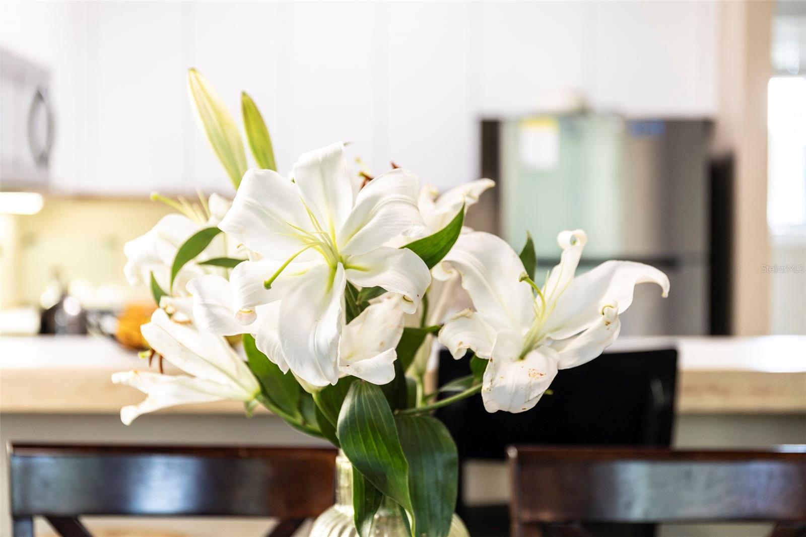 CEDARS EAST SEC 1 - Residential