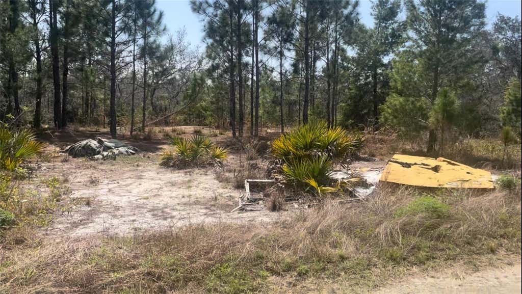 Photo of 246 Caspian Tern Avenue, Sebring, FL 33870 (MLS # O6431459)