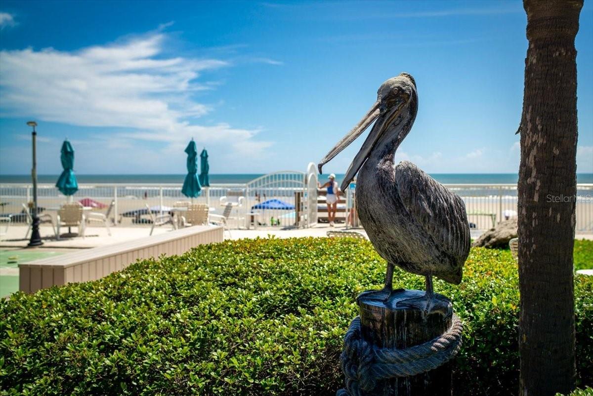 PELICAN - Residential