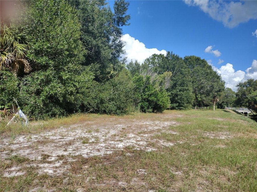 Motivated seller! This is an extra large lot in a desired location. Great potential!

* Approximated measures. Buyer to complete due diligence as property may be landlocked.