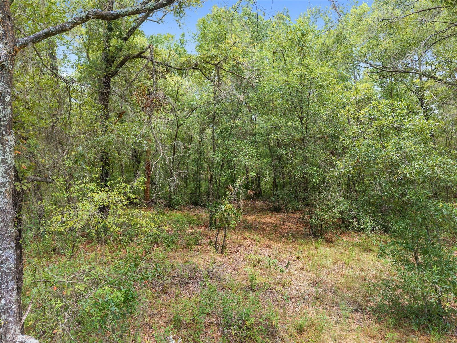 RAINBOW ESTATES UNIT 03 UNREC - Land