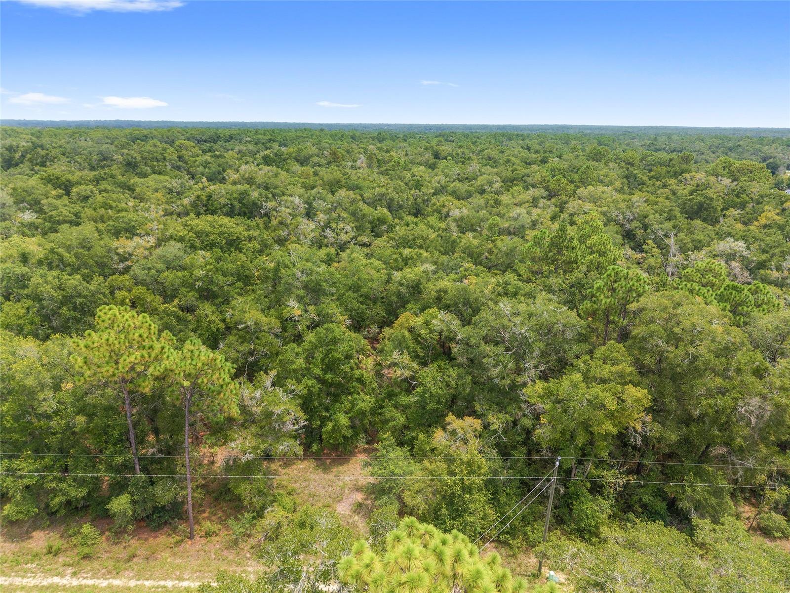 RAINBOW ESTATES UNIT 03 UNREC - Land