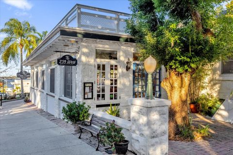 A home in MOUNT DORA