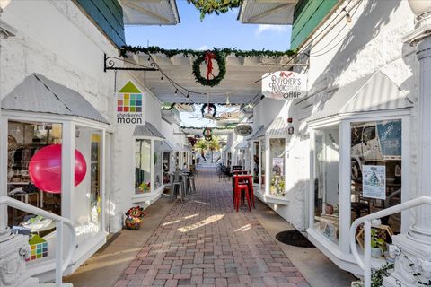 A home in MOUNT DORA